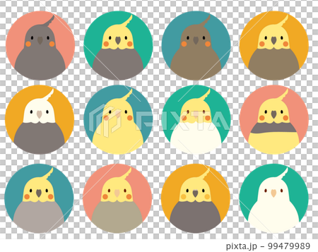 玄鳳鸚鵡圖標集 99479989