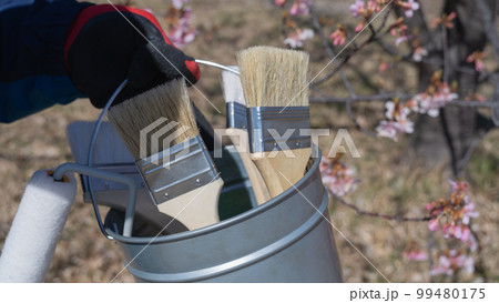 桜と塗装道具｜リフォーム・塗装業者・DIY イメージ 99480175