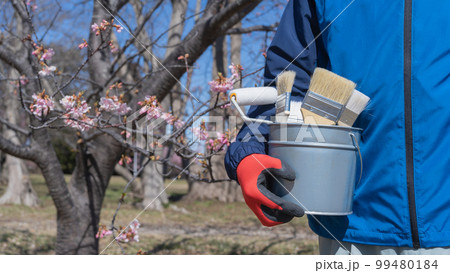 桜と塗装道具|リフォーム・塗装業者・DIY イメージ 桜と塗装道具|リフォーム・塗装業者・DIY イメージ 99480184