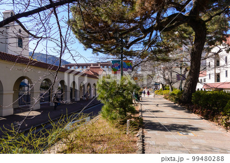 花のみち 99480288