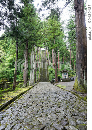 身延山久遠寺の石段・菩提梯【山梨県久遠寺】 99480487