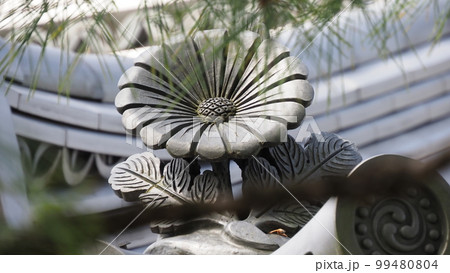 京都 大覚寺 表門 99480804
