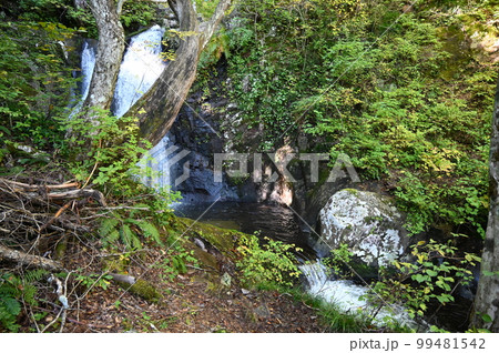 宇津江四十八滝 障泥滝 岐阜県高山市 宇津江四十八滝 障泥滝 岐阜県高山市 99481542