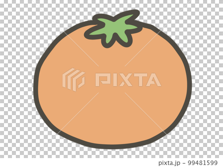 Hand-drawn mandarin orange illustration color Hand-drawn mandarin orange illustration color 99481599