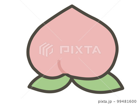 桃の手書きイラスト　カラー 99481600