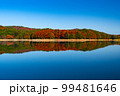 晩秋の北広島町聖湖の紅葉 99481646