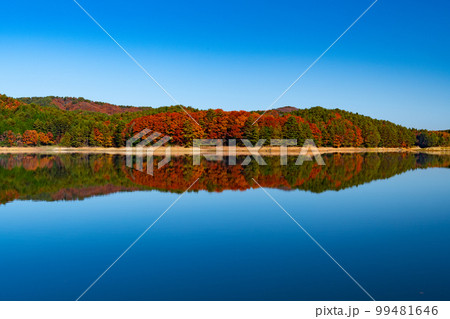 晩秋の北広島町聖湖の紅葉 99481646