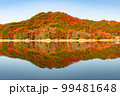 晩秋の北広島町聖湖の紅葉 99481648