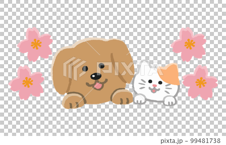 一狗兩貓櫻花臉（手繪色） 99481738