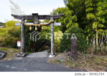 金運アップ!神龍八大龍王神社 金運アップ!神龍八大龍王神社 99481764