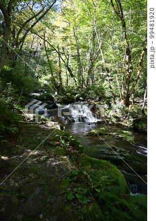 宇津江四十八滝　函滝　岐阜県高山市 99481920