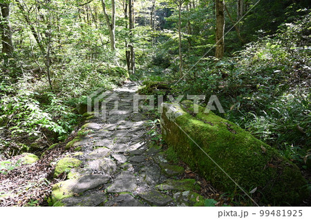 宇津江四十八滝 自然遊歩道 岐阜県高山市 宇津江四十八滝 自然遊歩道 岐阜県高山市 99481925
