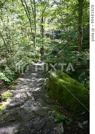 宇津江四十八滝 自然遊歩道 岐阜県高山市 宇津江四十八滝 自然遊歩道 岐阜県高山市 99481926