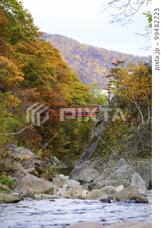北海道 定山渓の「二見吊橋」と紅葉 99482723
