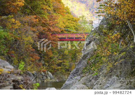 北海道 定山渓の「二見吊橋」と紅葉 北海道 定山渓の「二見吊橋」と紅葉 99482724