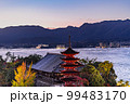 世界遺産安芸の宮島の五重塔と紅葉(ライトアップ) 99483170