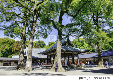 埼玉県・さいたま市　武蔵一宮氷川神社　舞殿と拝殿 99483376