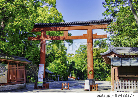 埼玉県・さいたま市　武蔵一宮氷川神社　三の鳥居 99483377