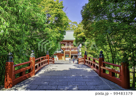 埼玉県・さいたま市　武蔵一宮氷川神社　神池にかかる赤い欄干の橋 99483379