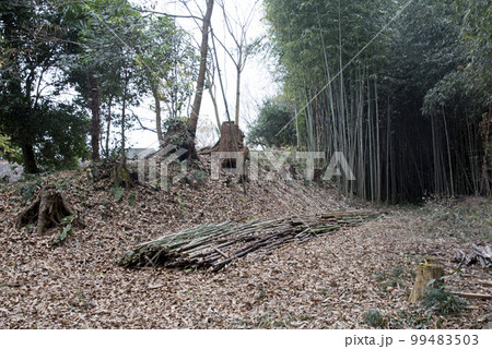 金田城　空堀と土塁 99483503