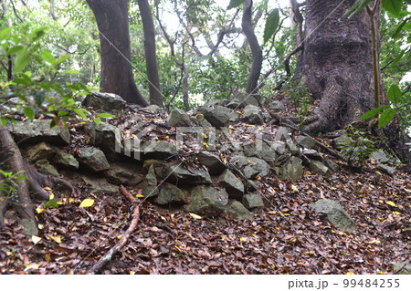 立花山城　馬場に残る石垣 99484255