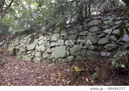 立花山城に残る石垣 立花山城に残る石垣 99484257