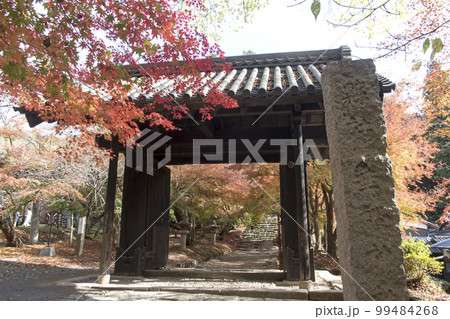 秋月城 紅葉と黒門 秋月城 紅葉と黒門 99484268
