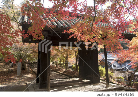 秋月城 紅葉と黒門 秋月城 紅葉と黒門 99484269