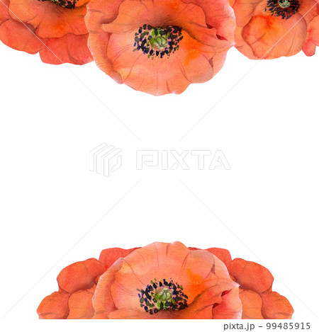 Watercolor square frame composition with hand drawn summer bright red poppy flowers. Isolated on white background. Design for invitations, wedding, love or greeting cards, paper, print, textile 99485915