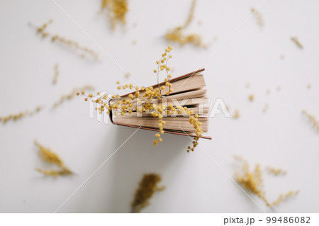 Spring composition with a book and yellow mimosa flowers on white background. Creative layout. Spring minimal concept. Spring composition with a book and yellow mimosa flowers on white background. Creative layout. Spring minimal concept. 99486082