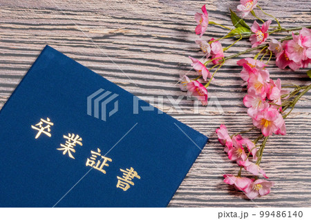 桜の花と卒業証書入れ 99486140