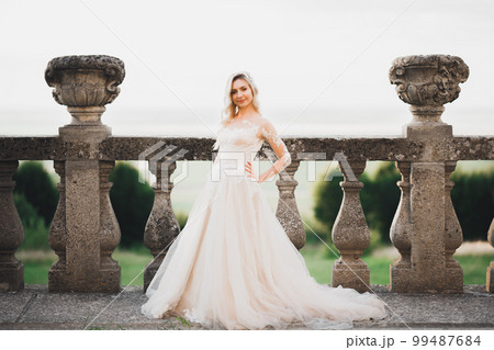 Beautiful luxury bride in elegant white dress Beautiful luxury bride in elegant white dress 99487684