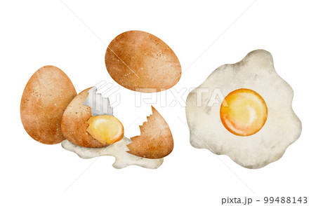 Watercolor golden raw egg. Food illustration isolated on white background 99488143