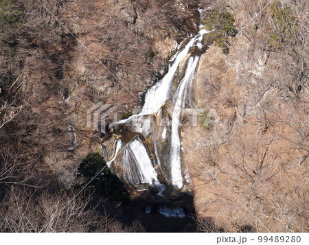 冬の霧降ノ滝 99489280