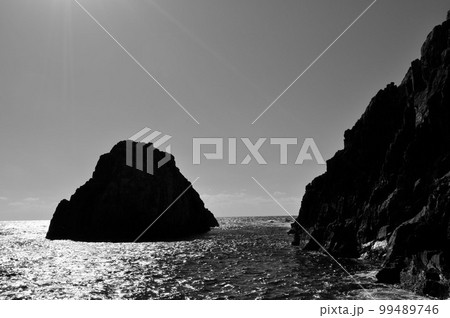 海 海 99489746