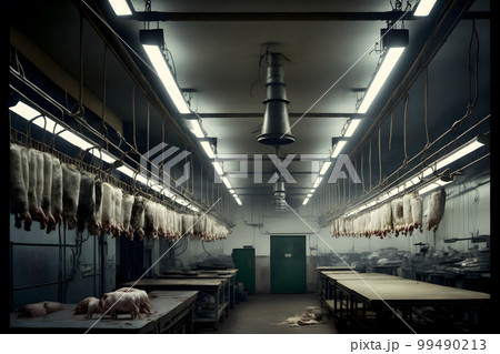 A lot of half cow chunks fresh hung and arranged in a large fridge in the abattoir fridge meat industry. Neural network AI generated art 99490213