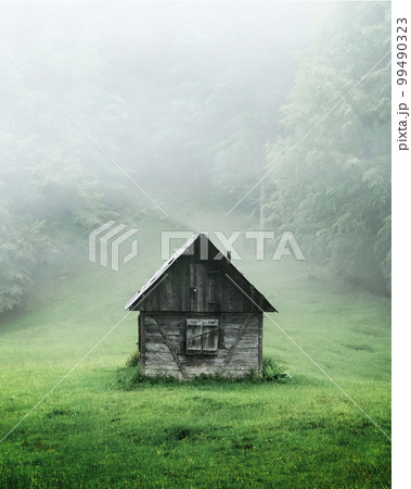 Alone cabin in the woods Alone cabin in the woods 99490323