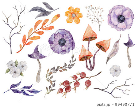 Watercolor floral clipart with branches, anemone, mushroom, leaves, rosehip. Orange and Purple color 99490771