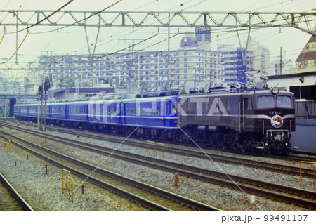 EF58 61の引く14系客車の踊り子55号（9023列車）、横浜ー戸塚、1983年6月25日EPD 99491107
