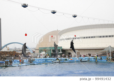 名古屋港水族館・メインプール／愛知県名古屋市港区港町 99491432