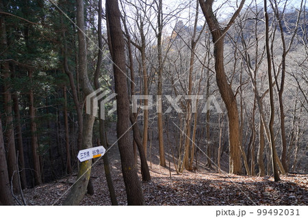妙義湖上流 裏妙義の尾根 三方境付近から見える谷急山方面 2022年11月25日 妙義湖上流 裏妙義の尾根 三方境付近から見える谷急山方面 2022年11月25日 99492031
