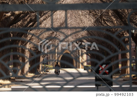 <東京都>東京大学 <東京都>東京大学 99492103