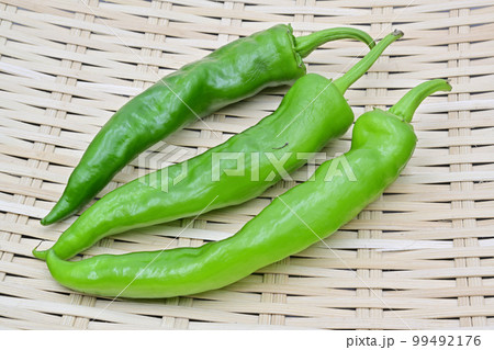 甘長とうがらし 甘長とうがらし 99492176