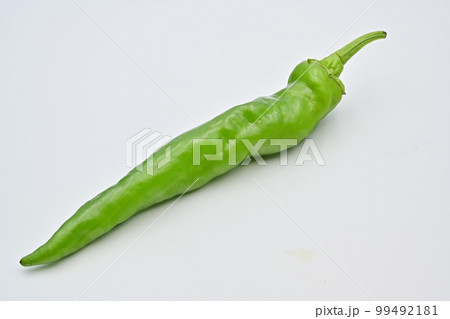 甘長とうがらし 99492181