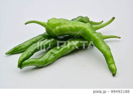甘長とうがらし 99492186