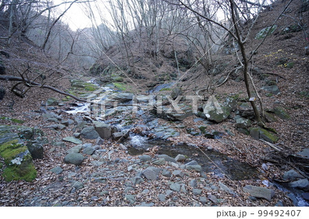 妙義湖上流　裏妙義の三方境から女道へ　広い谷を下り、沢に到着　2022年11月25日 99492407