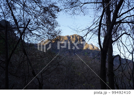 妙義湖上流　裏妙義の三方境から女道を下り、沢沿いの林道を下る　2022年11月25日 99492410