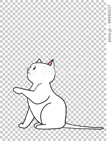 お座りして片手を挙げている白猫の子猫 99492637