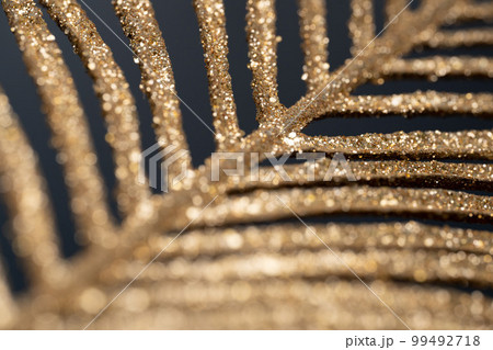 Gold palm leaf on black background Gold palm leaf on black background 99492718