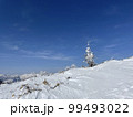 快晴の雪山に佇む木 99493022